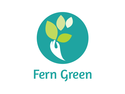 Fern Green Primary School